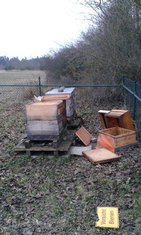 Beschädigter Bienenstand am Waldfriedhof