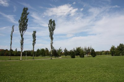 Zeigt den See im Valentinspark Unterschleißheim und seine umgliegenden grünen Wiesen